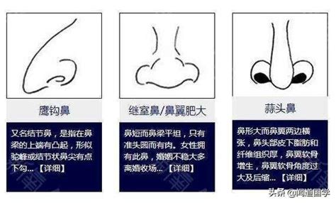 面相 鼻子歪|面相入门